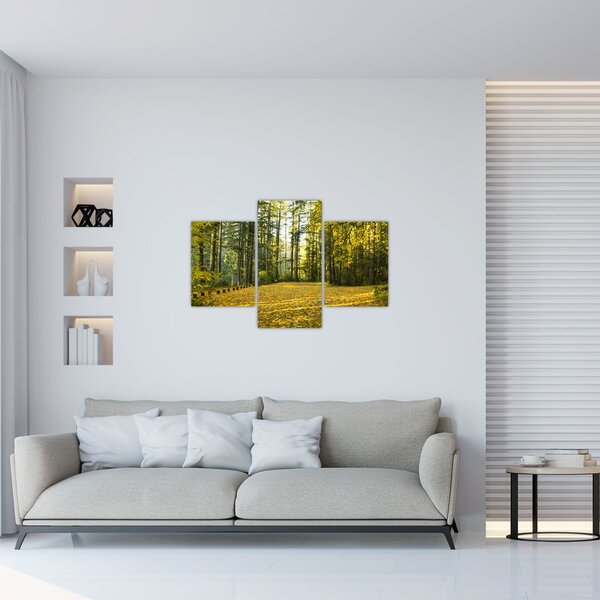Tablou - pădurea toamna (90x60 cm)