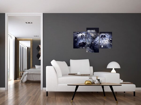 Tablou cu fructe cu picături de apă (90x60 cm)