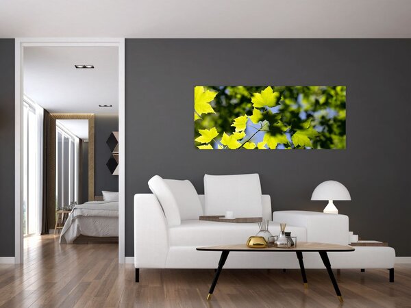 Tablou - frunze de arțar (120x50 cm)