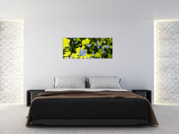 Tablou - frunze de arțar (120x50 cm)