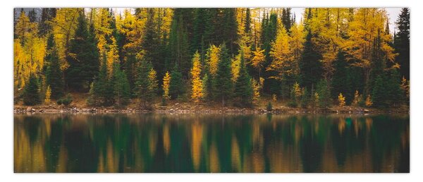 Tablou cu lac de pădure (120x50 cm)