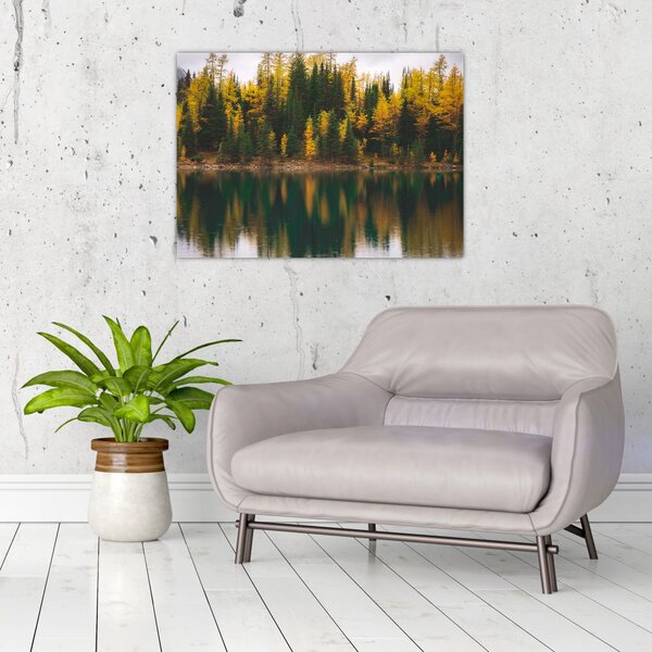 Tablou cu lac de pădure (70x50 cm)