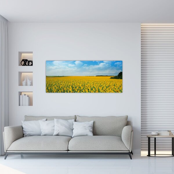 Tablou - câmp cu floarea soarelui (120x50 cm)
