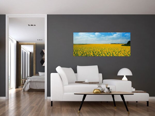 Tablou - câmp cu floarea soarelui (120x50 cm)