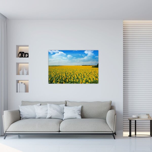 Tablou - câmp cu floarea soarelui (90x60 cm)