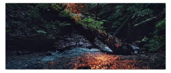 Tablou cu râu montan (120x50 cm)