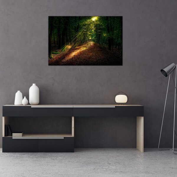 Tablou cu poteca prin pădure (90x60 cm)
