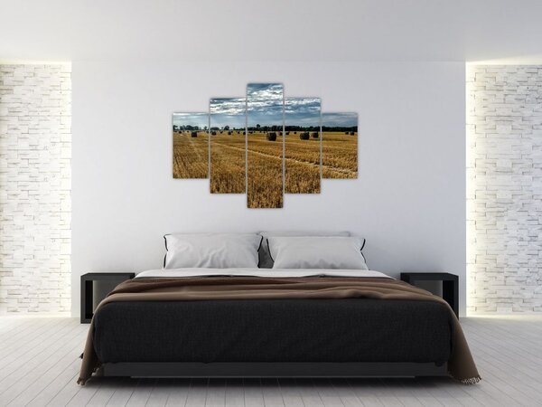 Tablou cu câmp recoltat (150x105 cm)