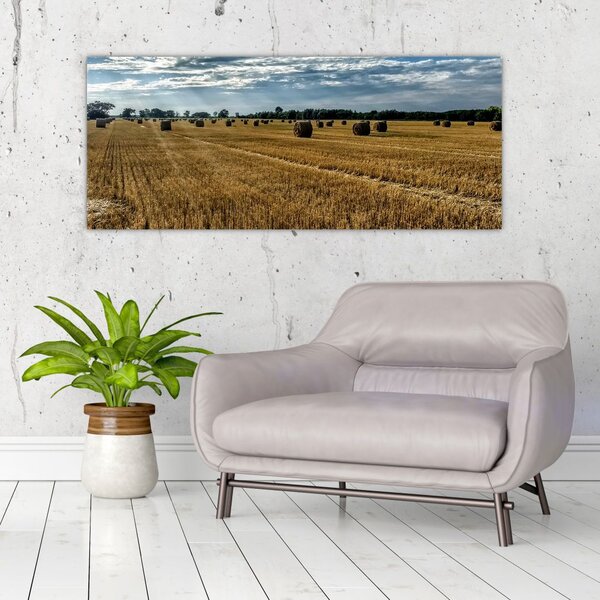 Tablou cu câmp recoltat (120x50 cm)