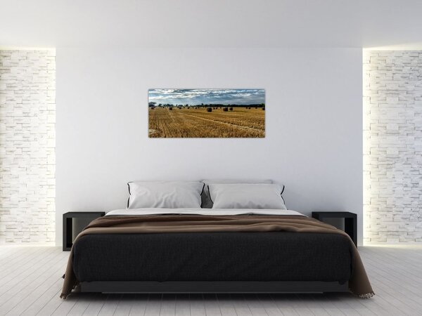 Tablou cu câmp recoltat (120x50 cm)