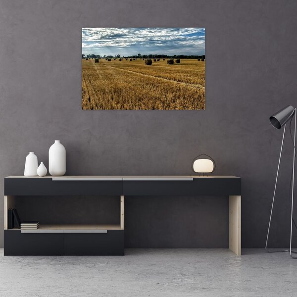 Tablou cu câmp recoltat (90x60 cm)