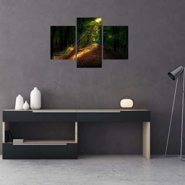Tablou cu poteca prin pădure (90x60 cm)