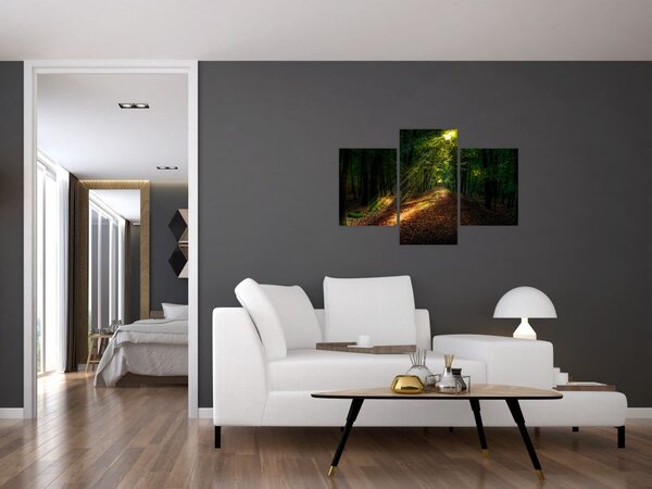 Tablou cu poteca prin pădure (90x60 cm)