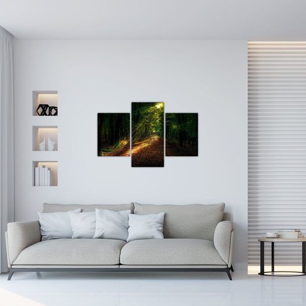 Tablou cu poteca prin pădure (90x60 cm)