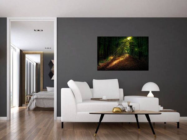 Tablou cu poteca prin pădure (90x60 cm)