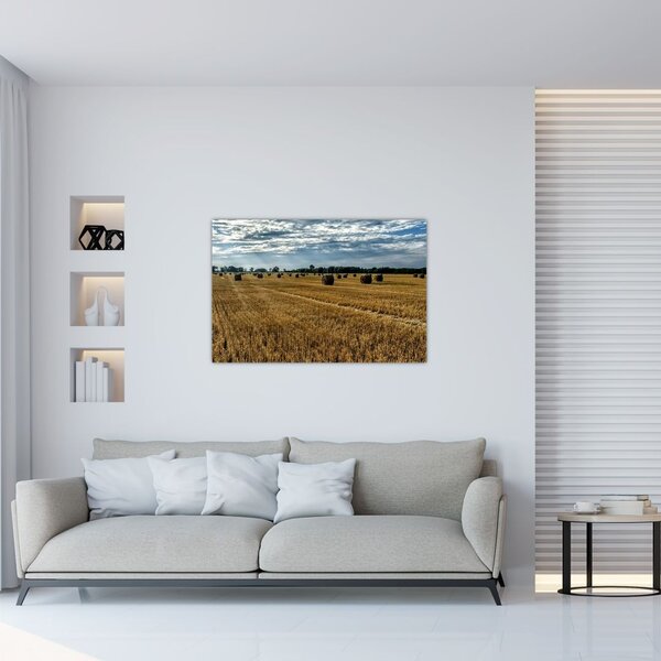 Tablou cu câmp recoltat (90x60 cm)