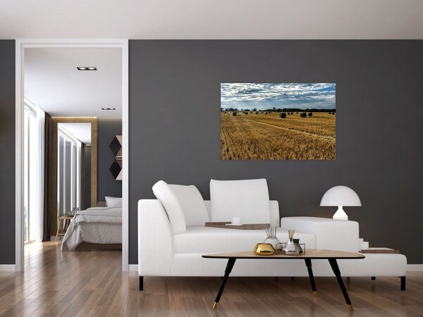 Tablou cu câmp recoltat (90x60 cm)