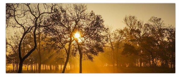 Tablou cu răsăsrit de soare (120x50 cm)