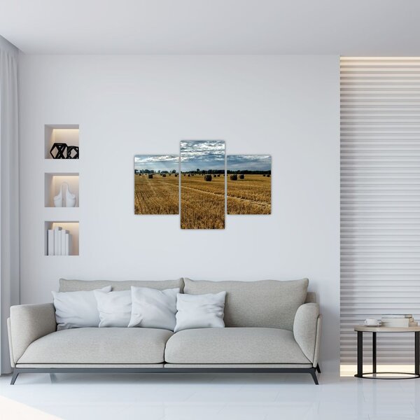 Tablou cu câmp recoltat (90x60 cm)
