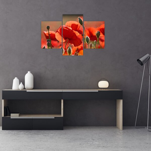 Tablou cu flori de maci (90x60 cm)