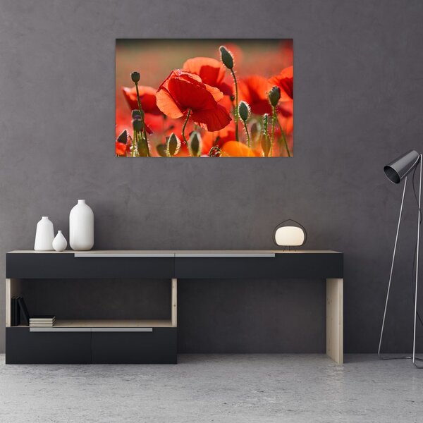 Tablou cu flori de maci (90x60 cm)