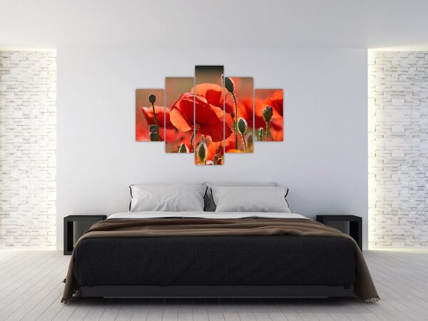 Tablou cu flori de maci (150x105 cm)