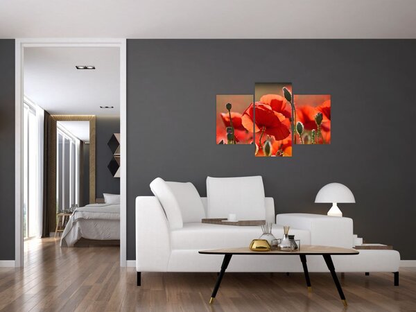 Tablou cu flori de maci (90x60 cm)