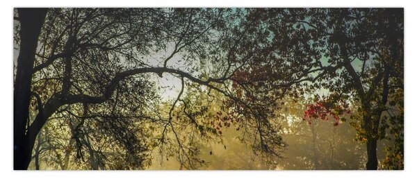 Tablou cu răsărit de soare (120x50 cm)