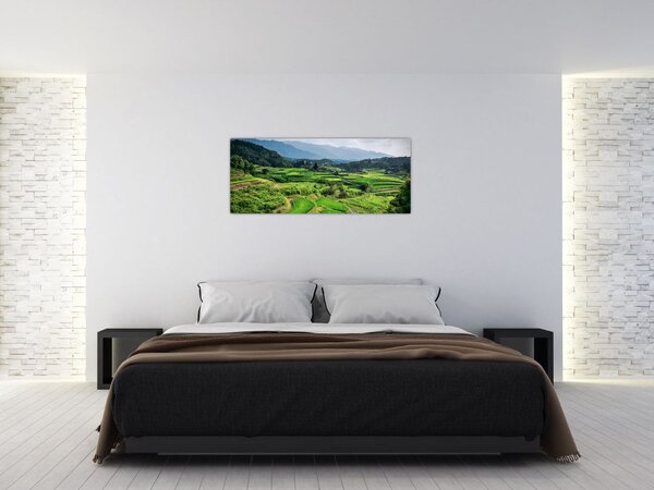 Tablou cu câmp de orez (120x50 cm)