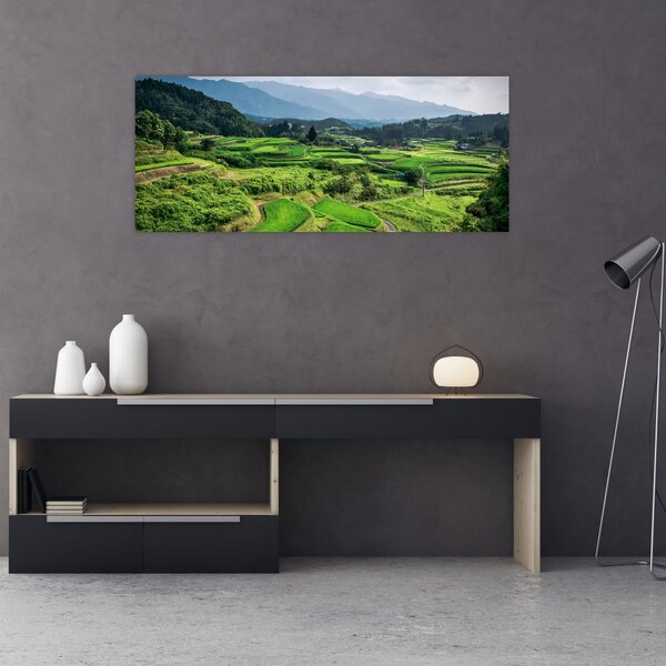 Tablou cu câmp de orez (120x50 cm)