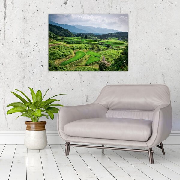 Tablou cu câmp de orez (70x50 cm)