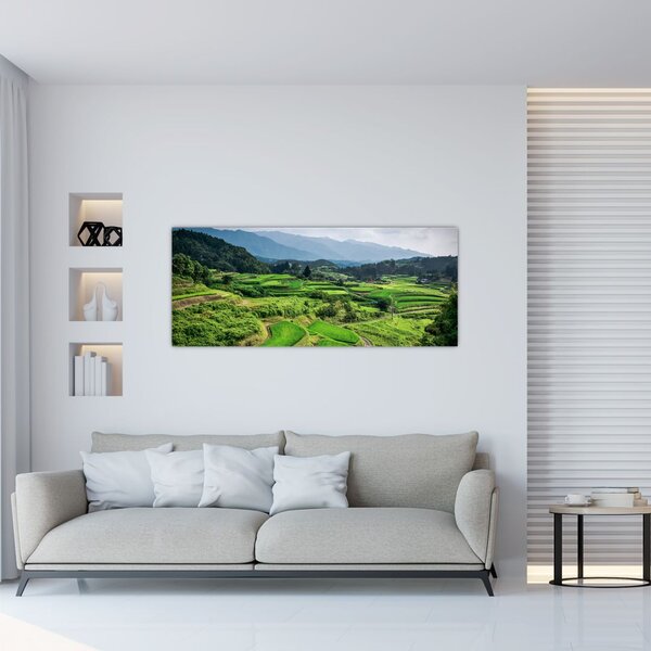 Tablou cu câmp de orez (120x50 cm)