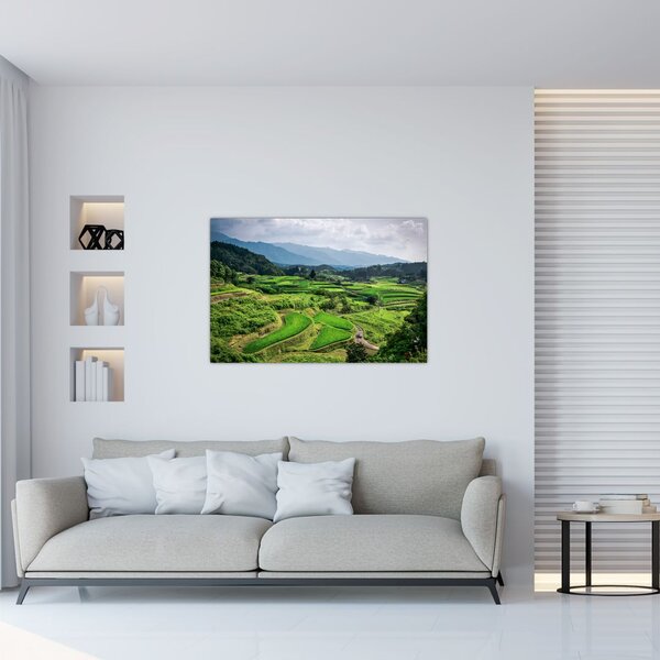 Tablou cu câmp de orez (90x60 cm)