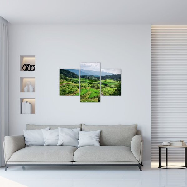 Tablou cu câmp de orez (90x60 cm)
