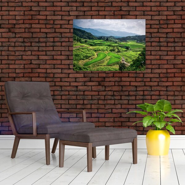 Tablou cu câmp de orez (70x50 cm)