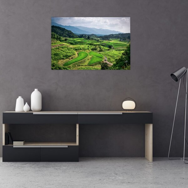 Tablou cu câmp de orez (90x60 cm)