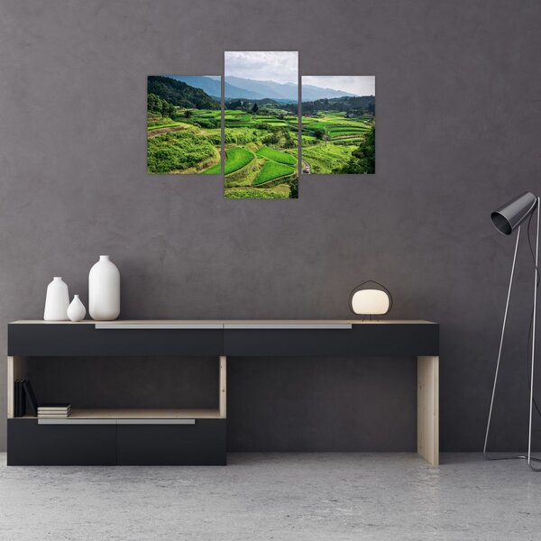 Tablou cu câmp de orez (90x60 cm)