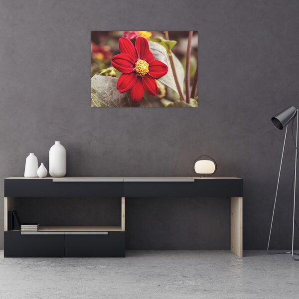Tablou cu floare (70x50 cm)