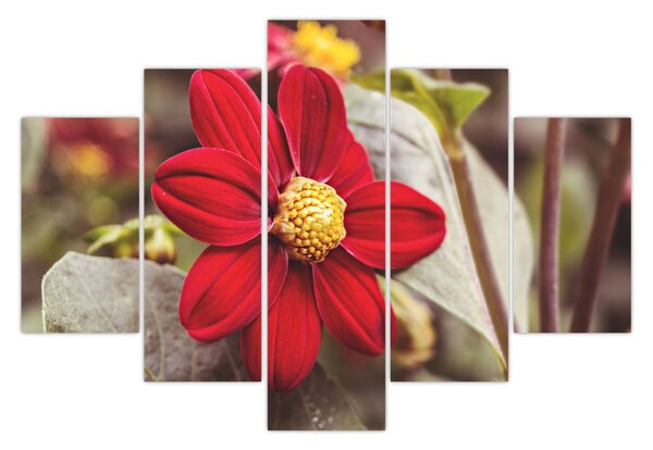 Tablou cu floare (150x105 cm)