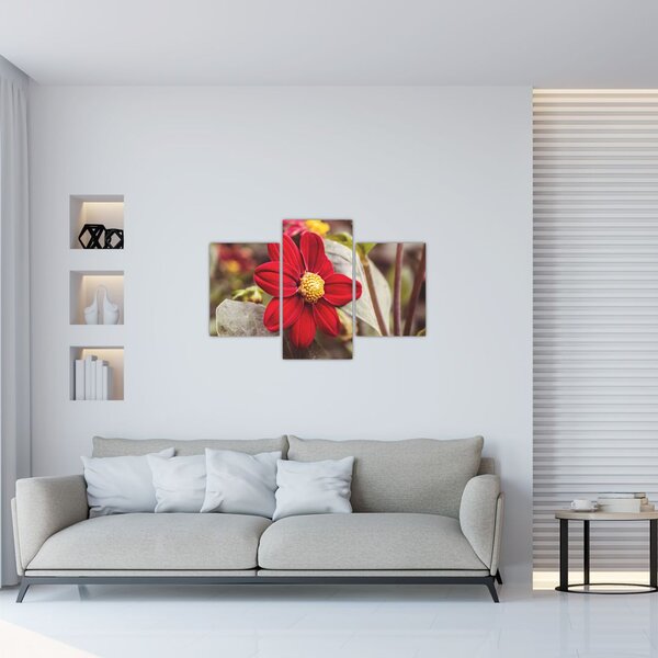 Tablou cu floare (90x60 cm)