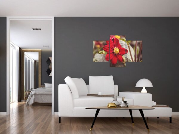 Tablou cu floare (90x60 cm)