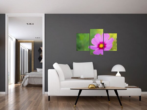 Tablou - floare de câmp (90x60 cm)