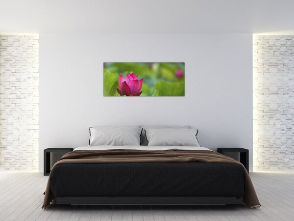 Tablou - floare de apă (120x50 cm)