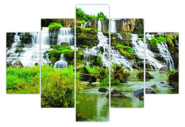Tablou - cascade cu plante (150x105 cm)