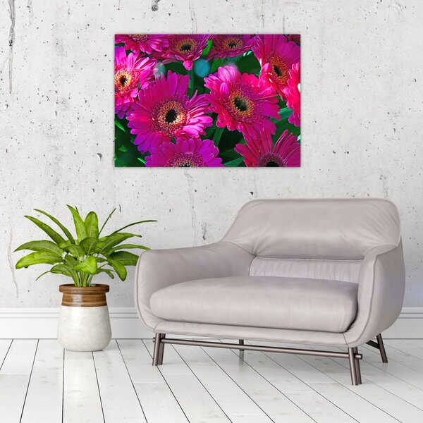 Tablou - floare (70x50 cm)