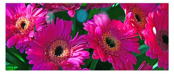 Tablou - floare (120x50 cm)