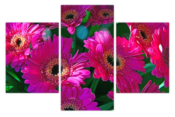 Tablou - floare (90x60 cm)
