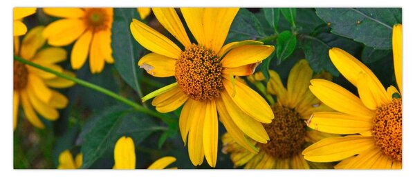 Tablou cu flori galbene (120x50 cm)