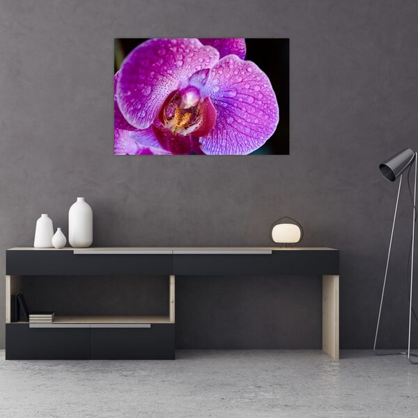 Tablou detailat cu floare de orhidee (90x60 cm)