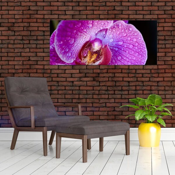 Tablou detailat cu floare de orhidee (120x50 cm)